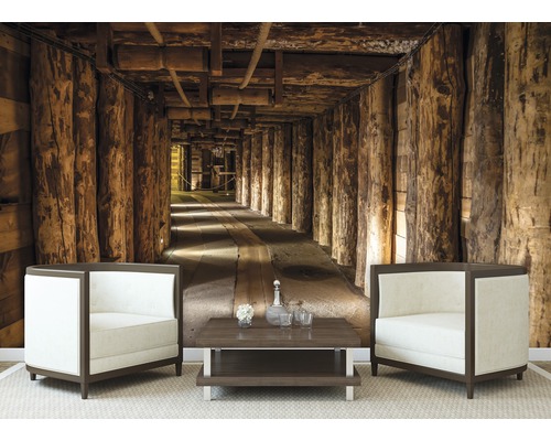 Papier peint photo avec motif de mine dans un salon avec fauteuils et table basse