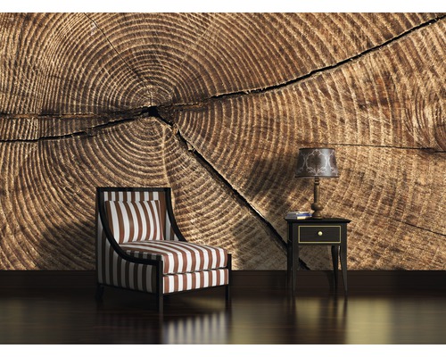 Pièce décorative avec papier peint à motif de tronc d''arbre, fauteuil et lampe de table