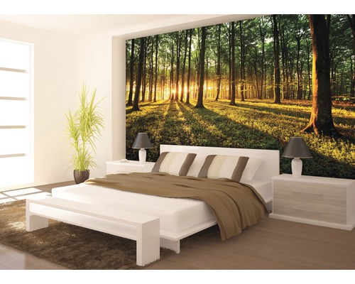 Chambre à coucher avec papier peint photo d''une forêt au lever du soleil