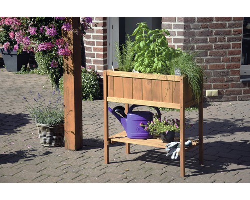 Table de plantation en bois avec herbes aromatiques, arrosoir et gants de jardin