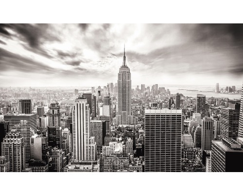 Papier peint panoramique intissé Skyline New York 250x104 cm