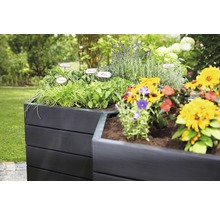 Hochbeet bepflanzt mit Kräutern und Blumen im Garten