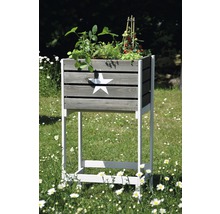 Hochbeet aus Holz mit Sternmuster im Garten