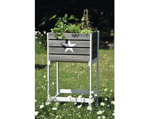 Hochbeet aus Holz mit Sternmuster im Garten