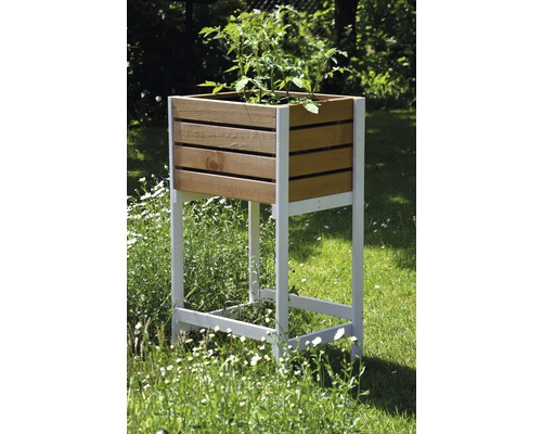 Hochbeet aus Holz mit Pflanzen auf einer Wiese