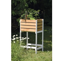 Hochbeet auf Stelzen Obstkiste 49x42x90.5 cm braun lasiert