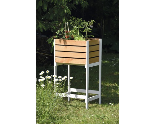 Hochbeet aus Holz mit Tomatenpflanzen im Garten