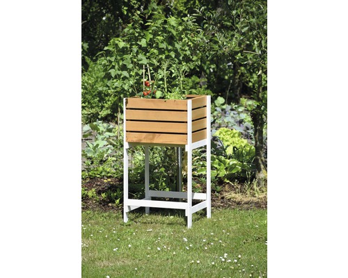 Hochbeet aus Holz mit Pflanzen im Garten
