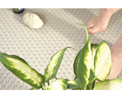 Szene eines Badezimmers mit Topfpflanze und runden Fliesen