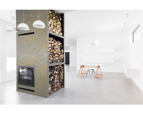 Salon moderne avec cheminée et étagère à bois