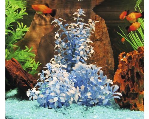 Aquarium mit Fischen und Kunststoffpflanzen