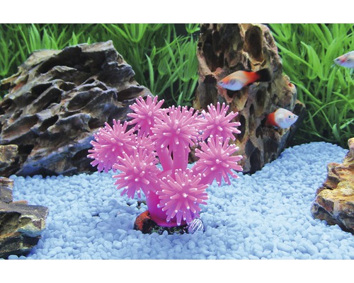 Aquarium avec corail artificiel, pierres et poissons