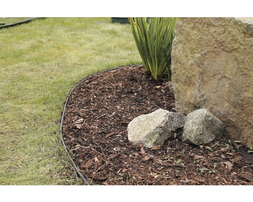 Scène de jardin avec bordure de pelouse, paillis d''écorce, pierre et plante