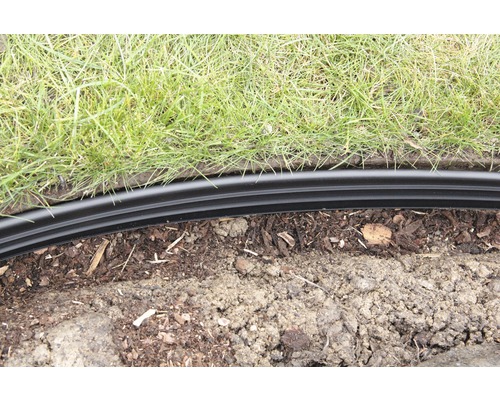 Scène de jardin avec pelouse et bordure de pelouse noire