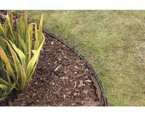 Scène de jardin avec pelouse, paillis d''écorce et bordure de gazon pour la délimitation