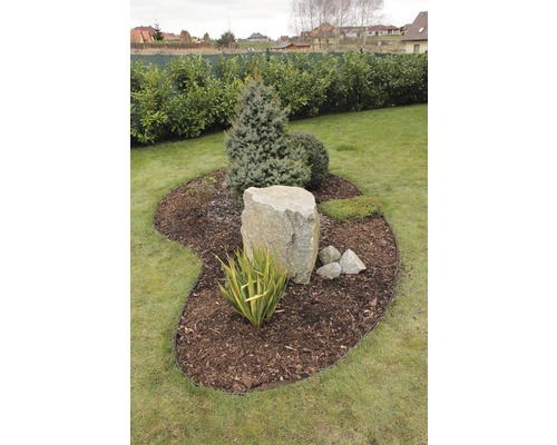 Scène de jardin avec arbre, arbuste, paillis et pierres