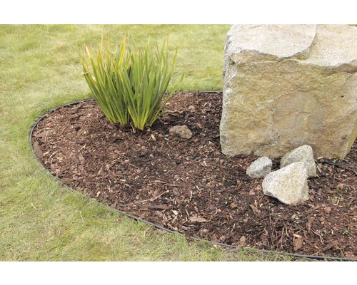 Jardin avec pelouse, plantes et une grande pierre, bordé par une bordure de pelouse