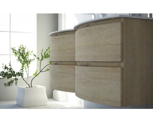 Salle de bain avec deux meubles-lavabos en bois et plante en pot