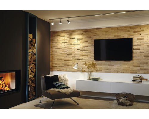 Salon avec cheminée, étagère à bois, fauteuil, mur TV et plafonnier