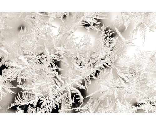 Nahaufnahme von frostigen Mustern auf einer Glasoberfläche.