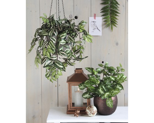 Décoration intérieure avec plante suspendue, plante d''intérieur et photophore sur une table.