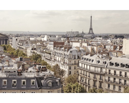 Panorama von Paris mit Wohnhäusern und dem Eiffelturm