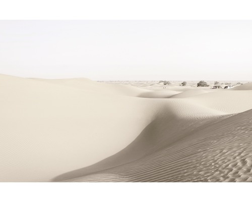 Sanddünen in der Wüste