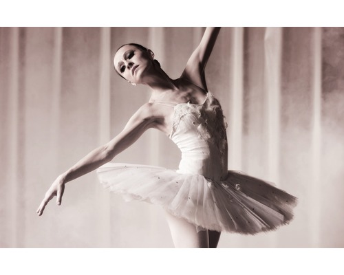 Une ballerine en pose avec un tutu.