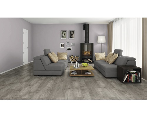 Salon avec canapé gris, poêle à bois et plancher en bois