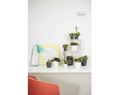 Scène de table décorative avec plantes en pot et lampe de bureau