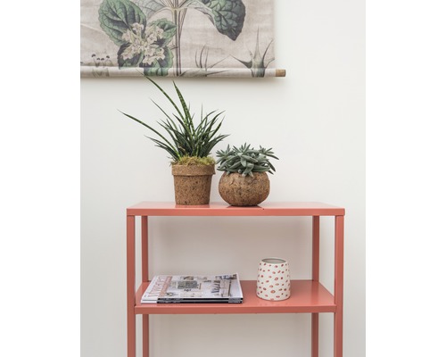 Étagère décorative avec plantes et magazines