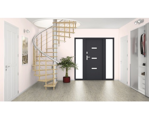 Hall d''entrée lumineux avec escalier en colimaçon, porte d''entrée et vestiaire.