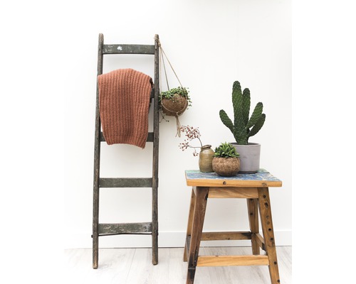 Scène décorative avec échelle, couverture, plantes et tabouret