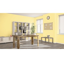 Büro mit Schreibtisch, Regalen, Pinnwand und Fenster.