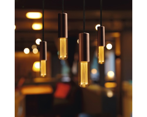 Plusieurs suspensions avec ampoules Edison