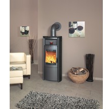 Salon avec poêle à bois, fauteuil, panier de bois et tapis