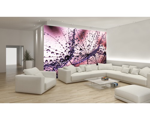 Salon lumineux avec papier peint photo d''un pissenlit avec des gouttes de rosée