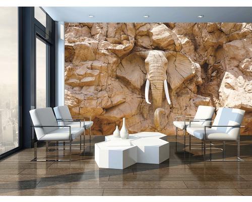 Helles Wohnzimmer mit Fototapete Felswand mit Elefant, Stühlen und Tisch