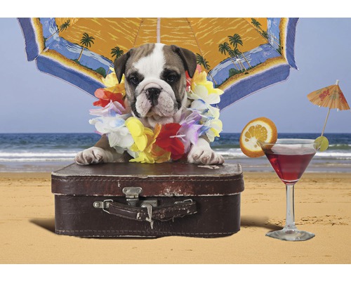 Papier peint photo papier chien à la plage bleu jaune 254 x 184 cm Chiots bouledogue avec une couronne de fleurs sur une valise à la plage avec cocktail et parasol