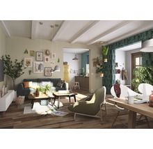 Salon lumineux avec canapé, table basse, plantes d''intérieur et décoration