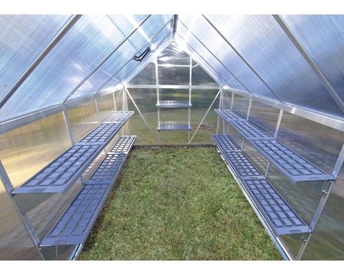Innenansicht eines Gewächshauses mit Regalen.
