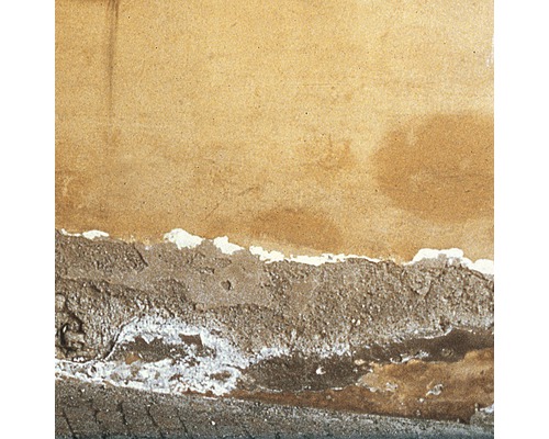 Mur endommagé présentant des dégâts d''humidité et de la peinture qui s''écaille