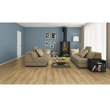 Alpina Finest Colours sans conservateurs Calm Blue 2.5 l