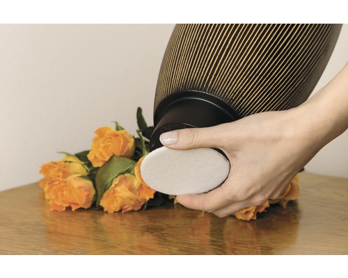 Frau wechselt Filter eines Luftreinigers vor Rosenstrauß