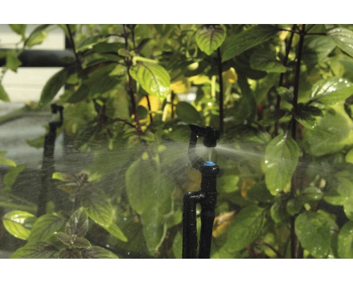 Système d''irrigation pour plantes dans le jardin