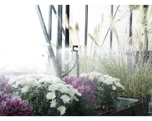 Système d''irrigation avec asperseur entre plantes et graminées