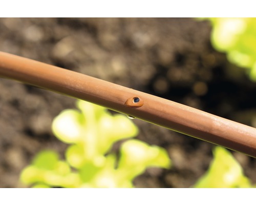 Gros plan d''un tuyau d''irrigation avec une goutte d''eau au niveau du trou de sortie pour l''irrigation du jardin