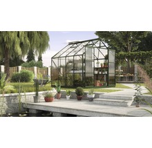 Gewächshaus im Garten mit Pflanzen und Gartengeräten