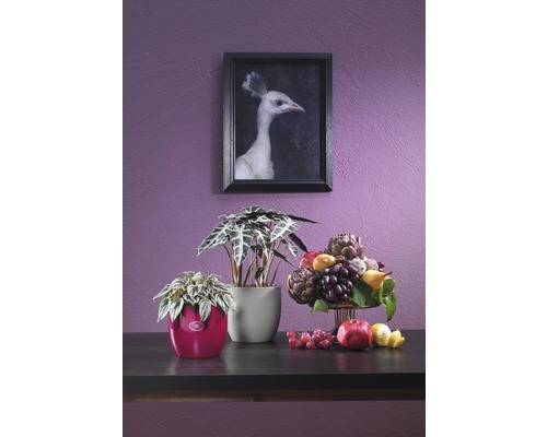 Aménagement intérieur décoratif avec des plantes dans des pots et une nature morte avec des fruits