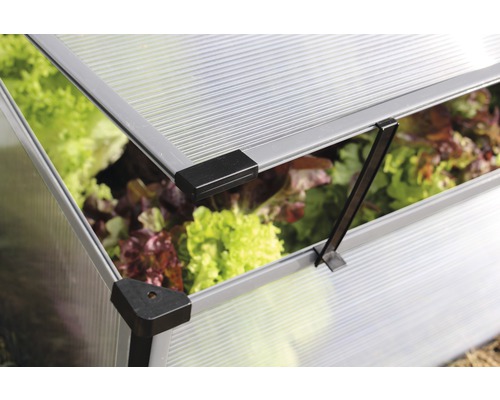 Vue détaillée d''un châssis de couche avec couvercle ouvert et salades